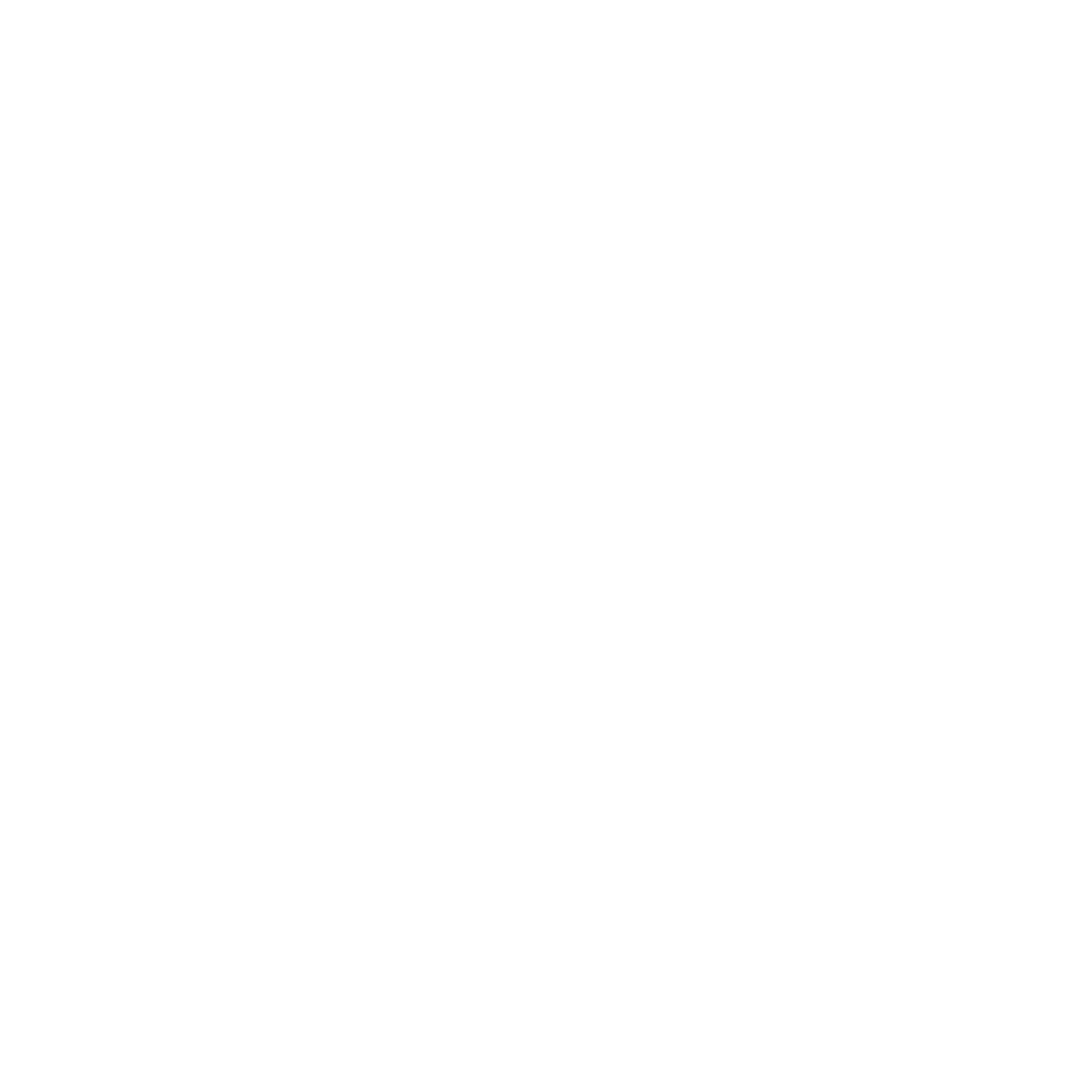 Logo L80